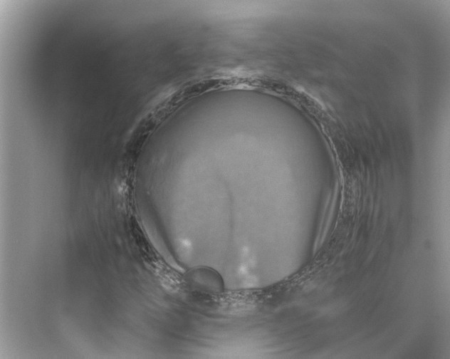 X0000075821254200609291402