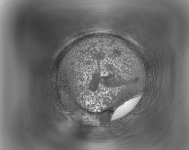 X0000075821255200609291402