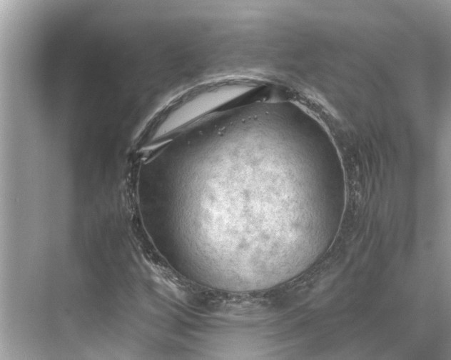 X0000075821256200609291402