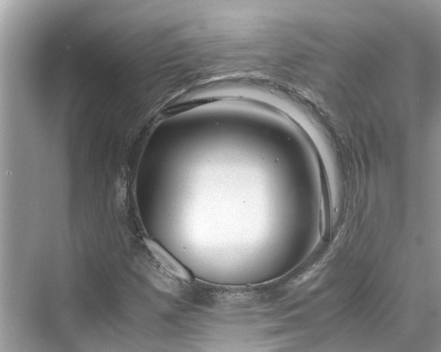 X0000075821257200609291402