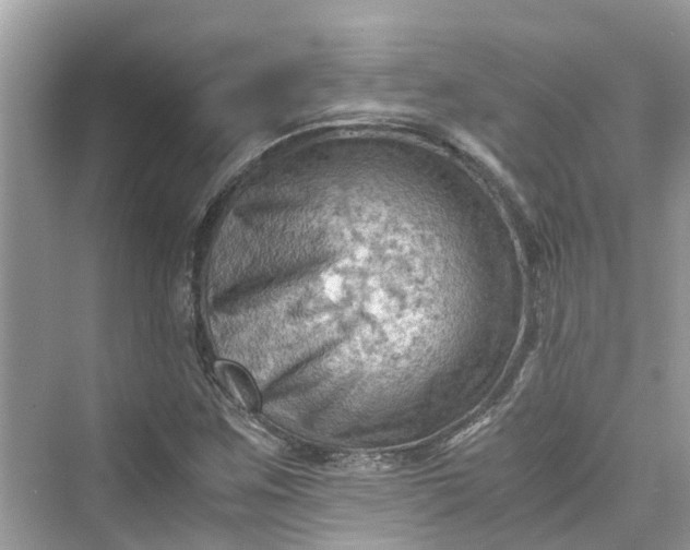 X0000075821259200609291402