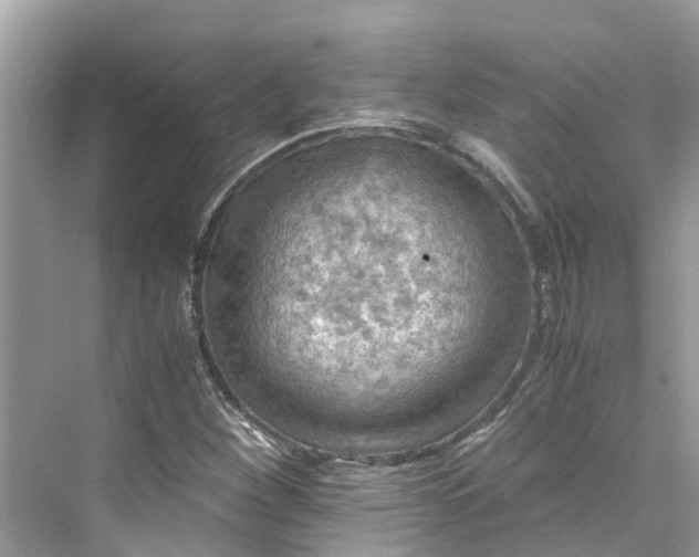 X0000075821260200609291402