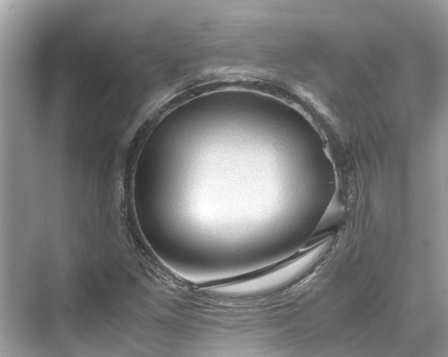 X0000075821261200609291402