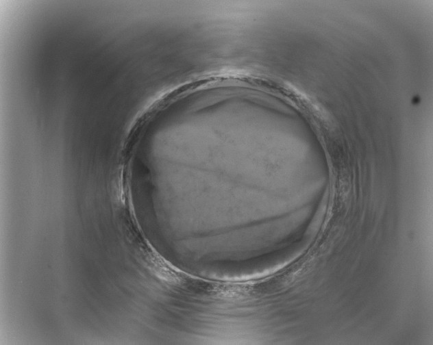 X0000075821262200609291402