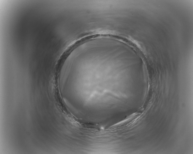 X0000075821263200609291402