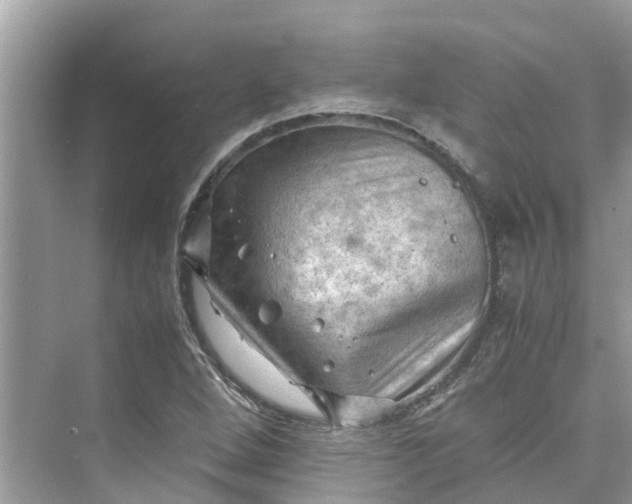 X0000075821264200609291402