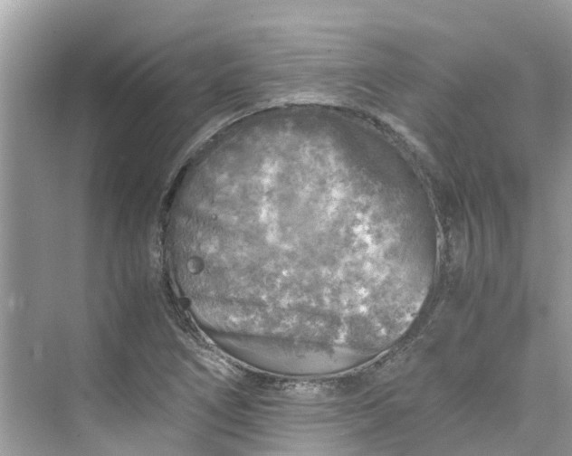 X0000075821266200609291402