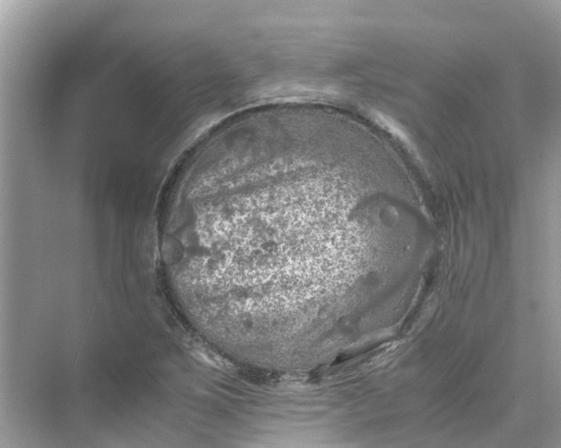 X0000075821267200609291402