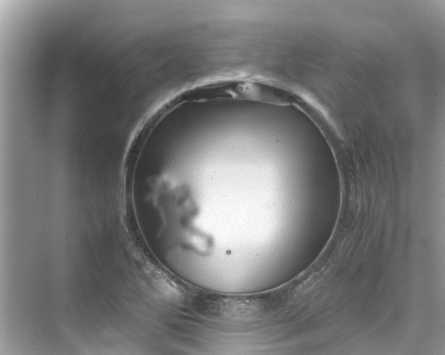 X0000075821270200609291401