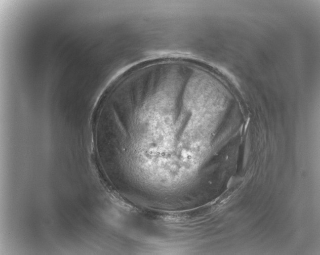 X0000075821271200609291401