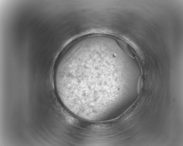 X0000075821272200609291401