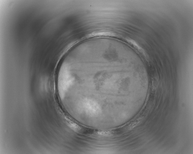 X0000075821274200609291401