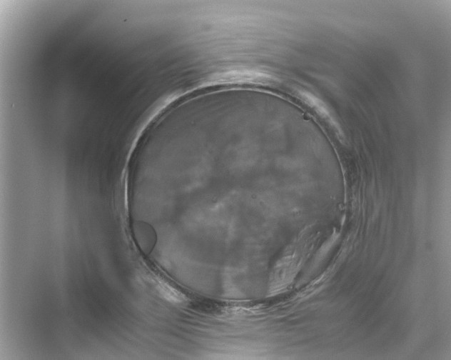 X0000075821275200609291401