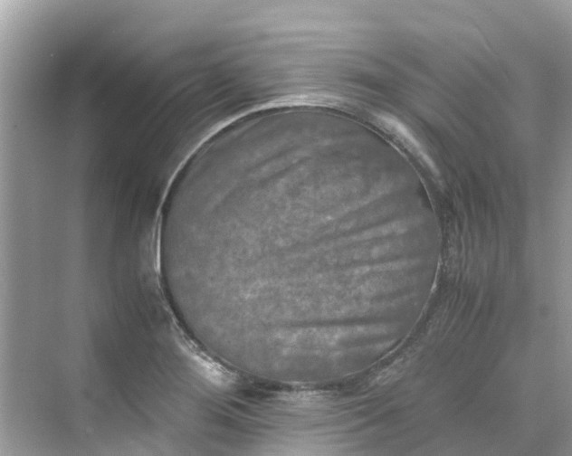 X0000075821276200609291401