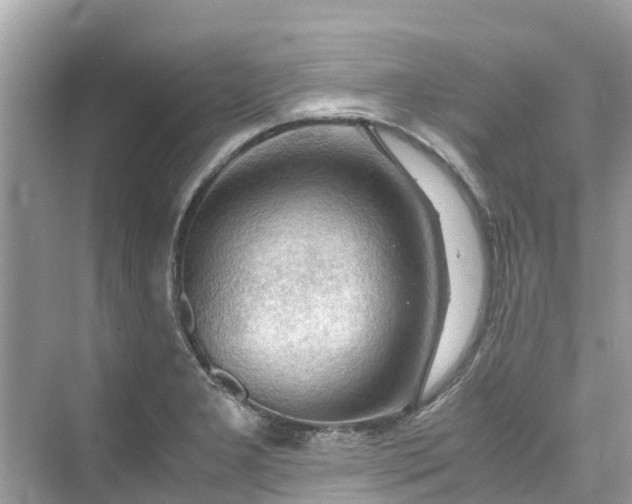 X0000075821277200609291401