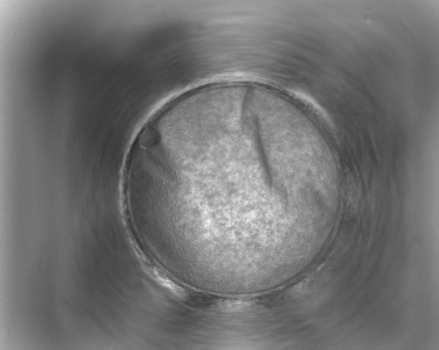 X0000075821278200609291401