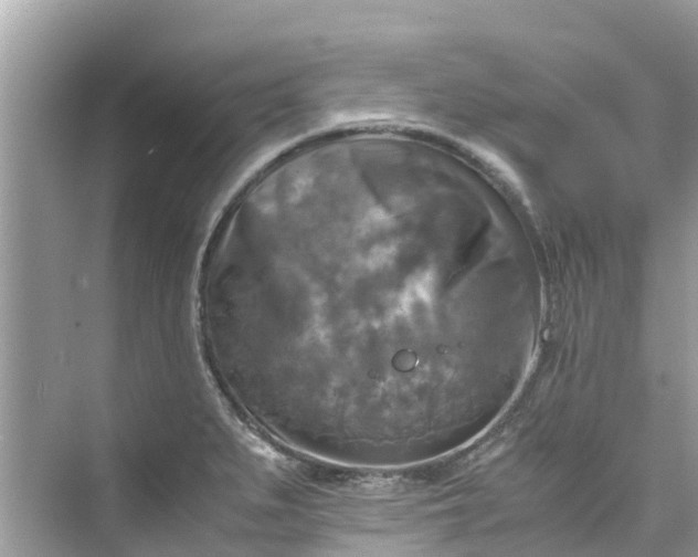 X0000075821279200609291401