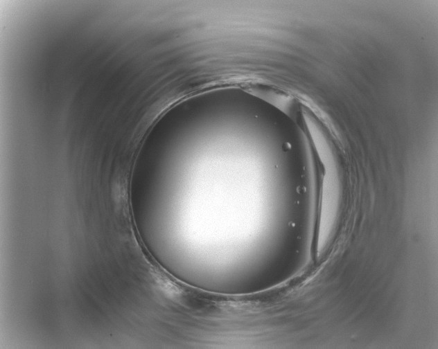 X0000075821281200609291401