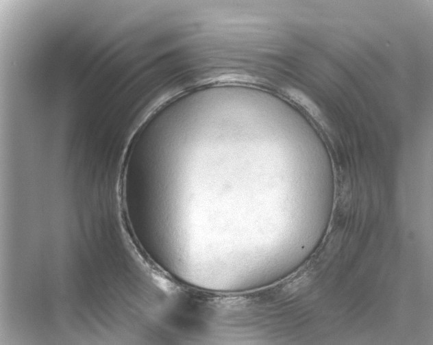 X0000075821282200609291401