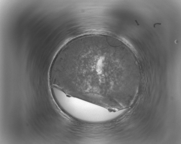 X0000075821283200609291401