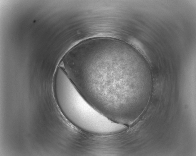 X0000075821284200609291401