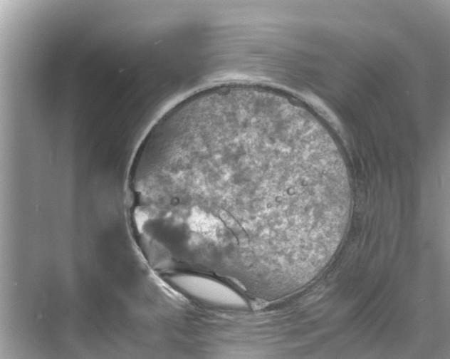 X0000075821287200609291401