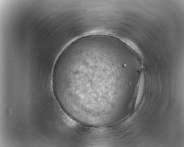 X0000075821288200609291401