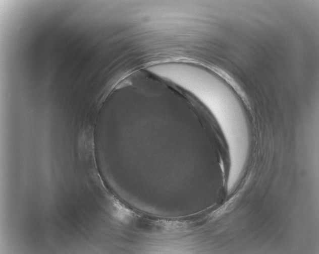 X0000075821289200609291401