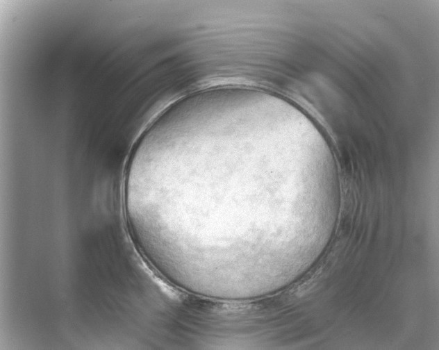 X0000075821290200609291401