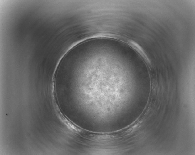 X0000075821292200609291401