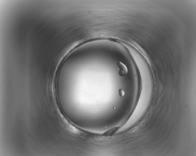 X0000075821293200609291401