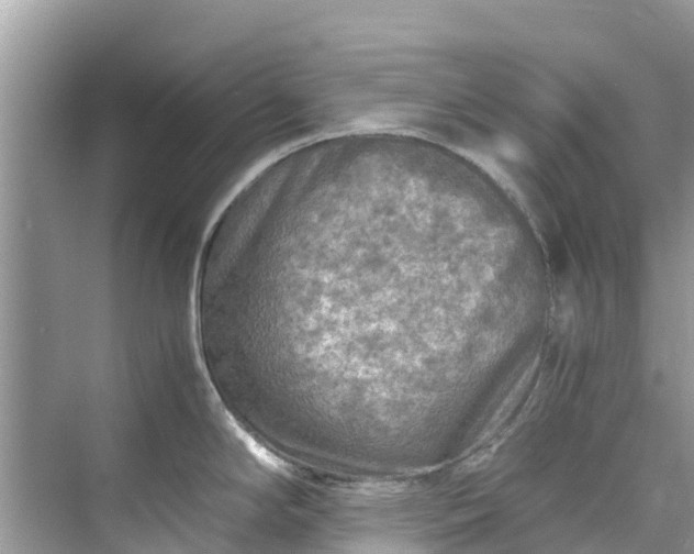 X0000075821294200609291401