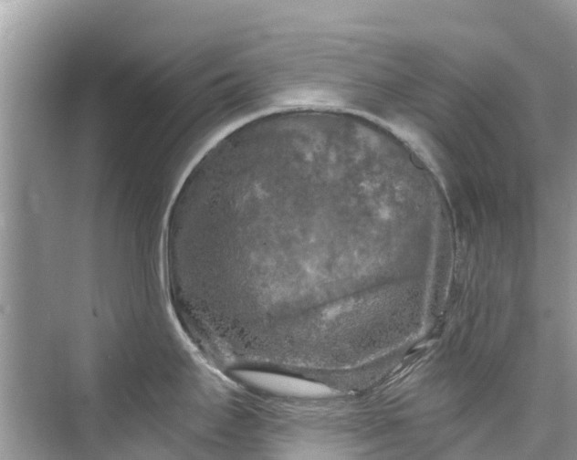 X0000075821295200609291401