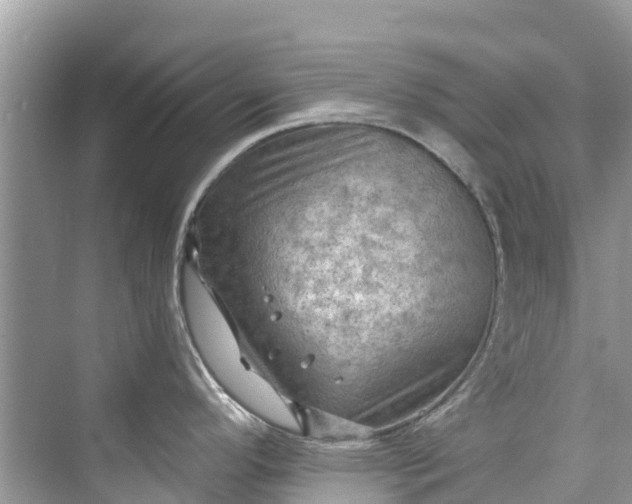 X0000075821296200609291401