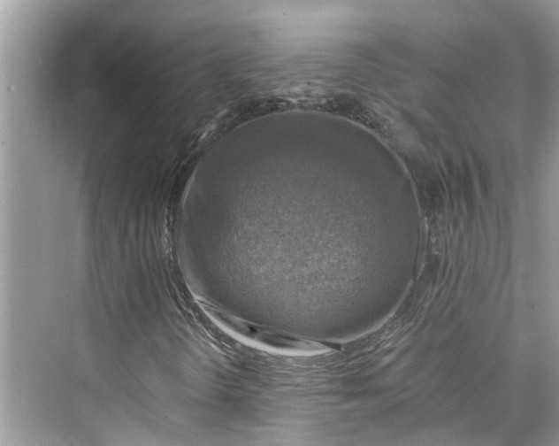 X0000075821298200609291400