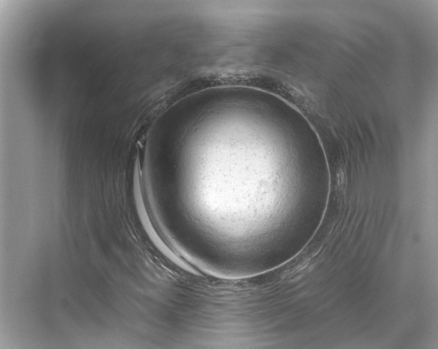 X0000075821300200609291400