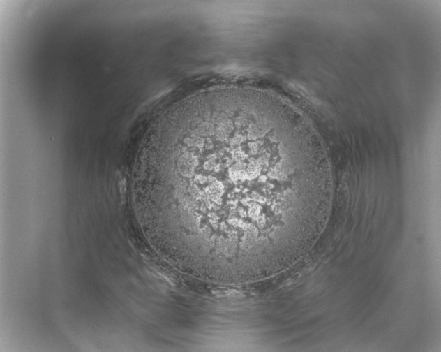 X0000075821302200609291400