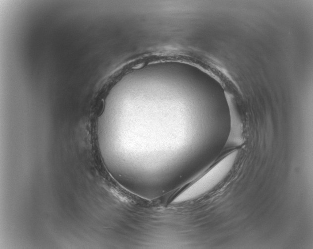 X0000075821304200609291400