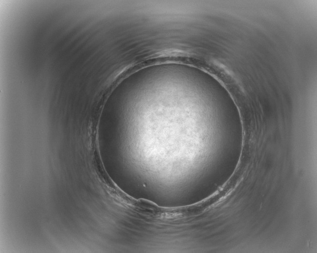 X0000075821313200609291400