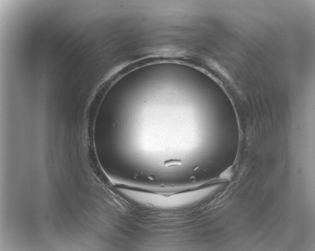 X0000075821315200609291400