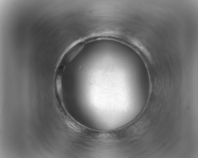 X0000075821316200609291401