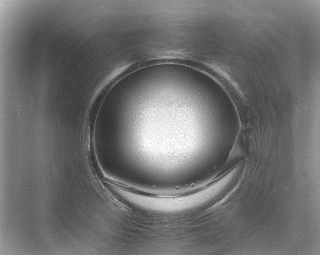 X0000075821317200609291401