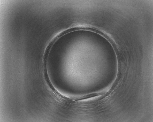 X0000075821319200609291401