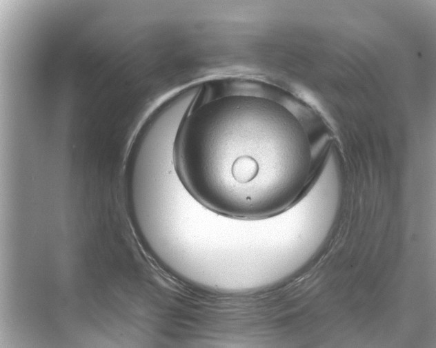 X0000075821320200609291401