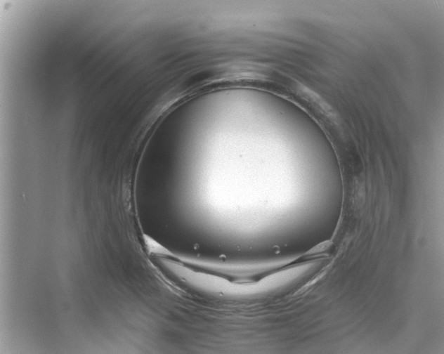 X0000075821321200609291401