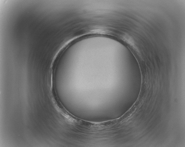 X0000075821323200609291401