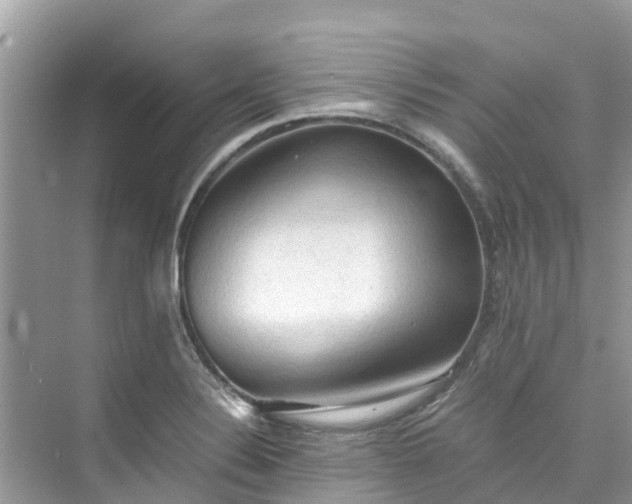 X0000075821324200609291401