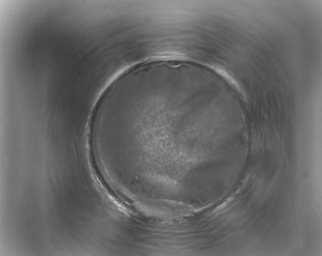 X0000075821325200609291401