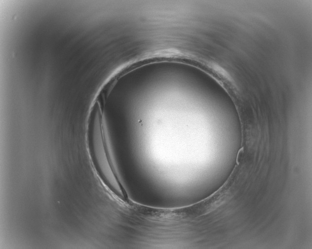 X0000075821326200609291401