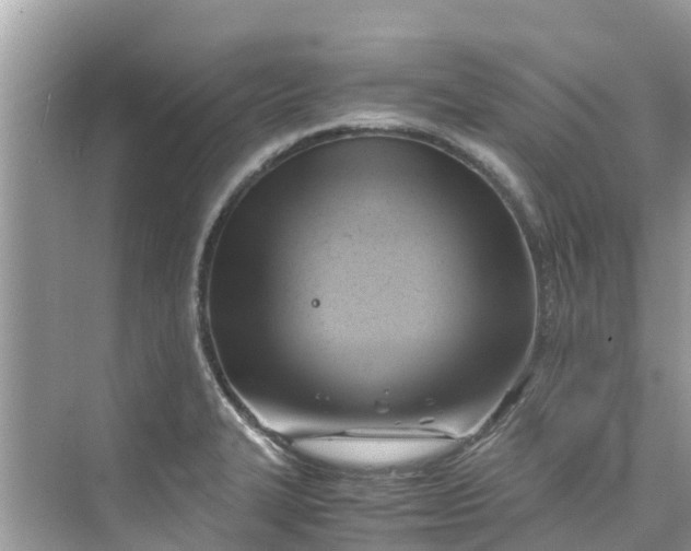 X0000075821327200609291401